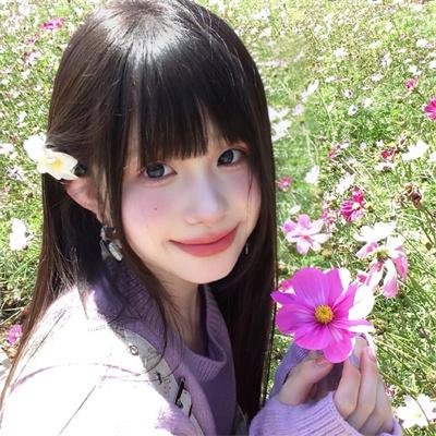 狐及其友 在线观看封面